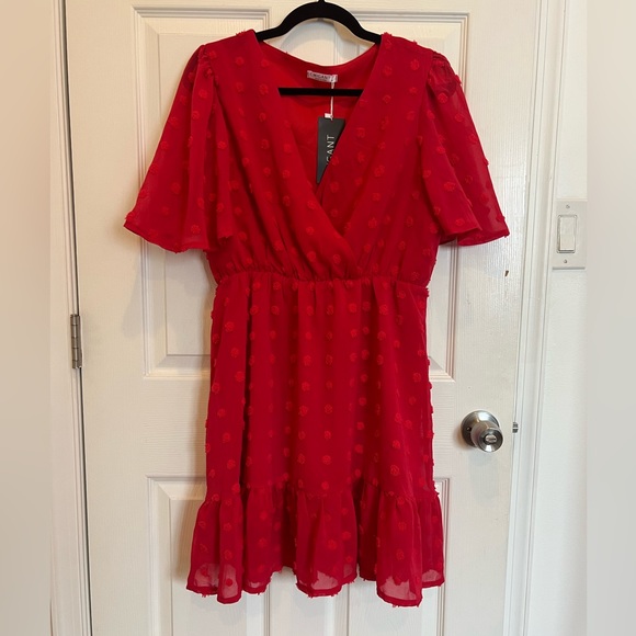 NWT Chiffon Ruffle Dress - Picture 1 of 5